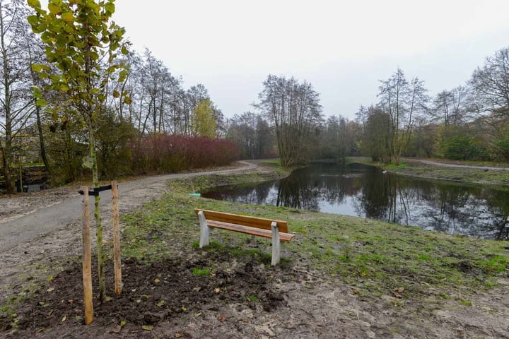 Photo 43 of Hanebalken 7