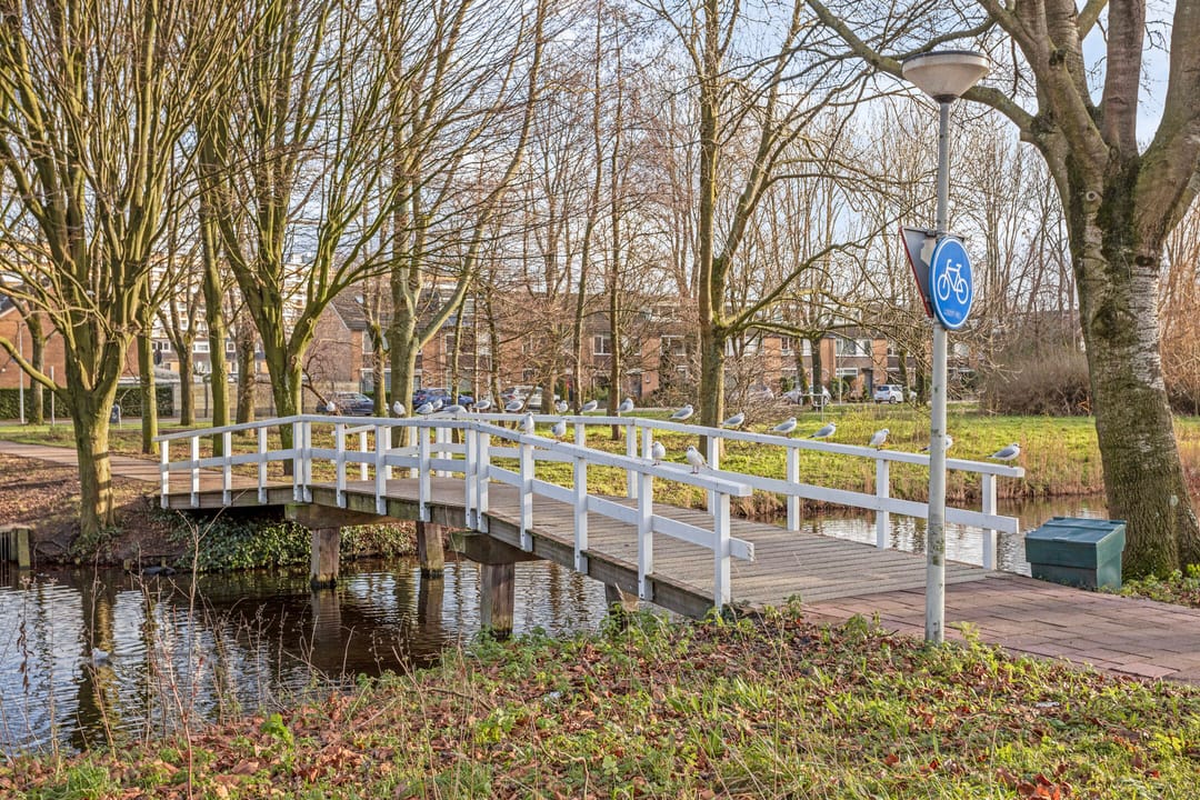 Foto 56 van De Weer 97