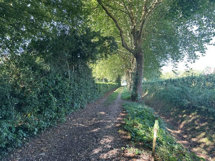 Foto 2 van Waaldijk 41