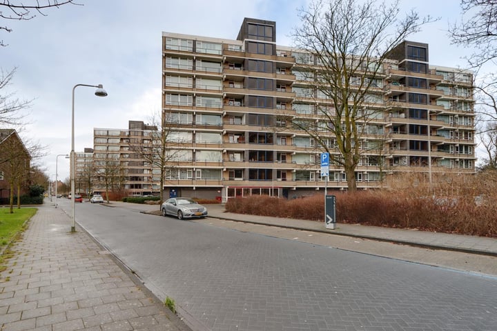 Bekijk foto van Tobias Asserlaan 323