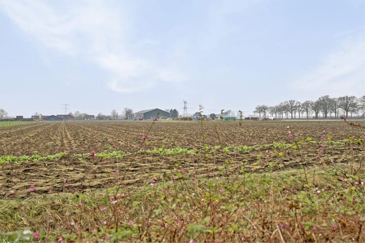 Foto 37 van Schalmei 10