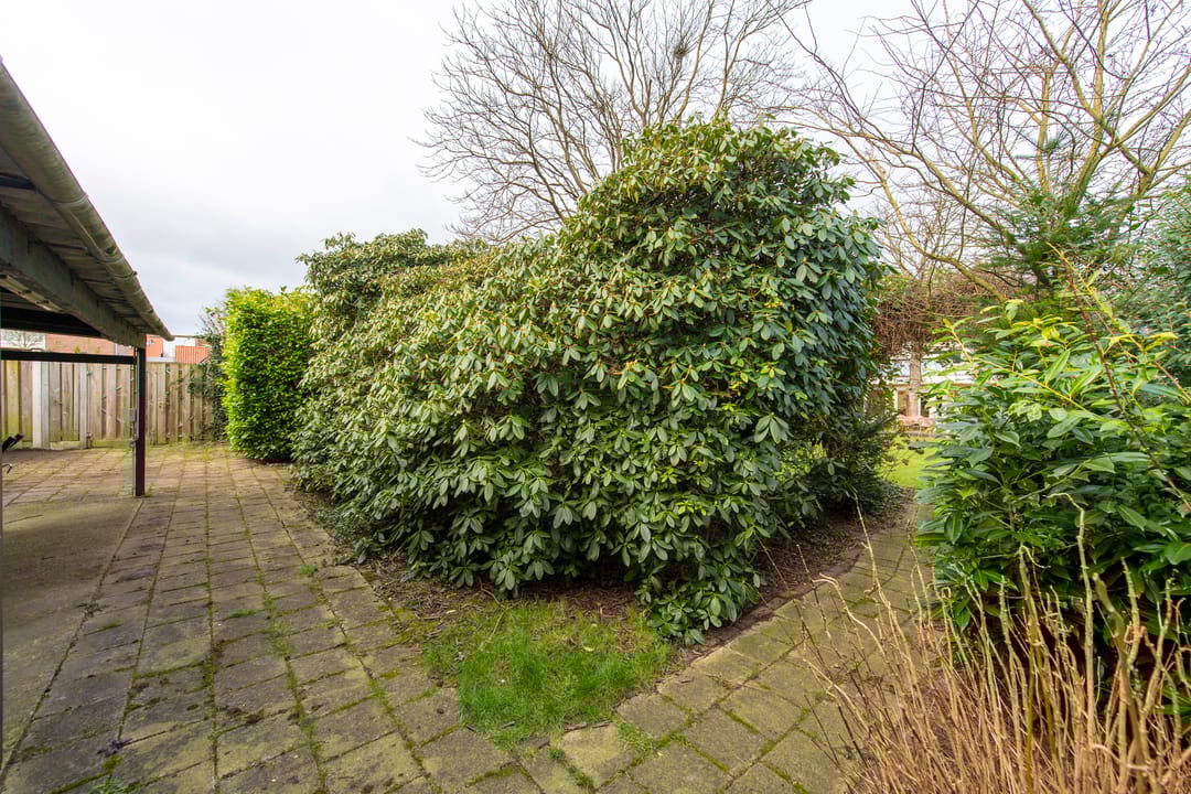 Photo 61 of Van Malsenstraat 26