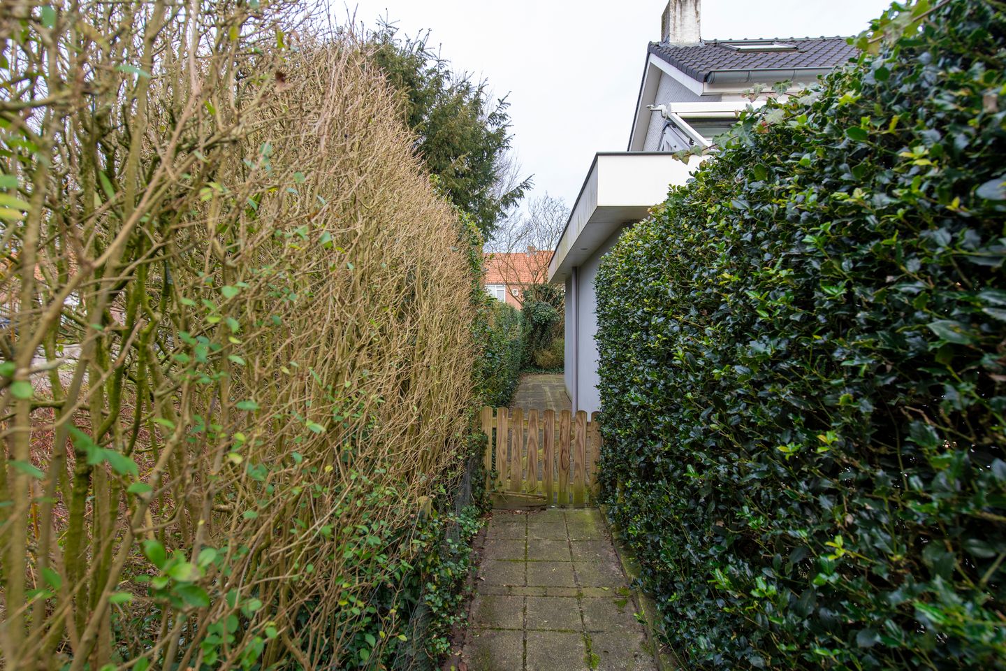 Photo 64 of Van Malsenstraat 26