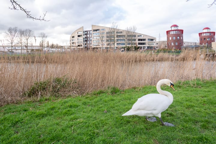 Photo 35 of Waddenring 173