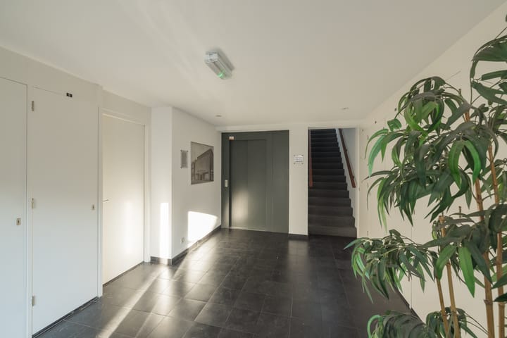 Foto 47 van Haemstedelaan 1-D