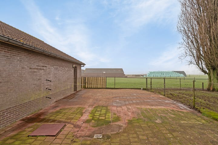 Foto 54 van Meester van Coothstraat 52