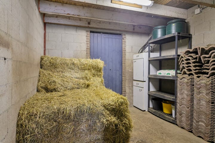 Foto 59 van Meester van Coothstraat 52