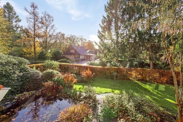 Foto 42 van Borgerspark 37