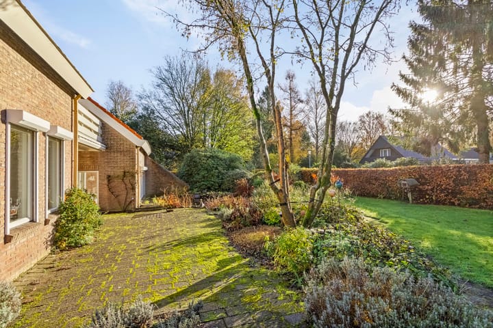 Foto 51 van Borgerspark 37