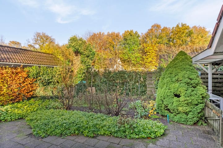 Foto 59 van Borgerspark 37