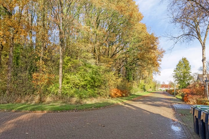 Foto 62 van Borgerspark 37