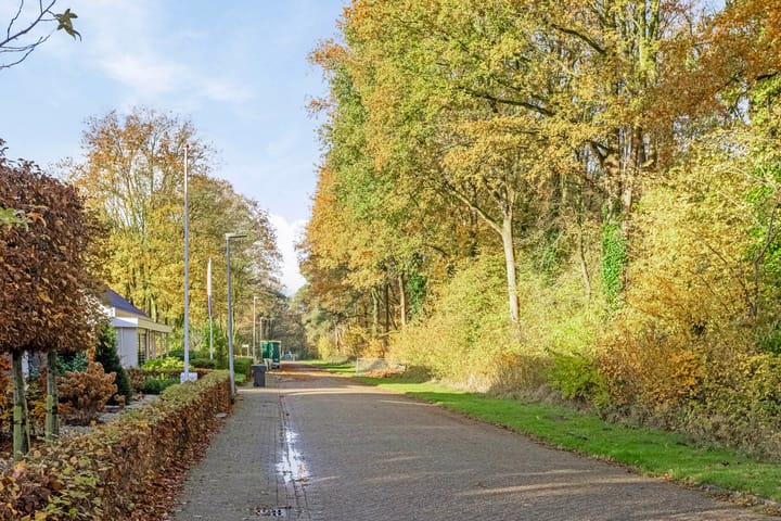 Foto 63 van Borgerspark 37