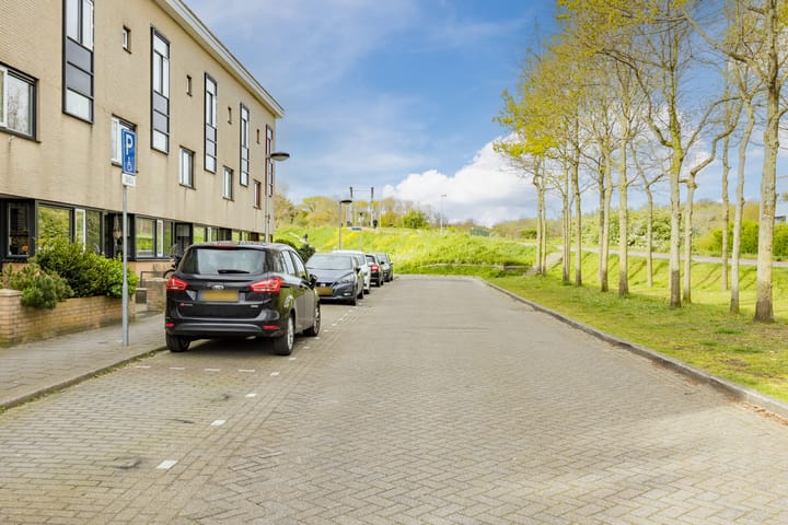 Foto 5 van Salomonszegel 13