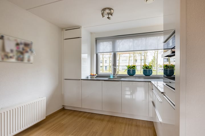 Foto 19 van Salomonszegel 13