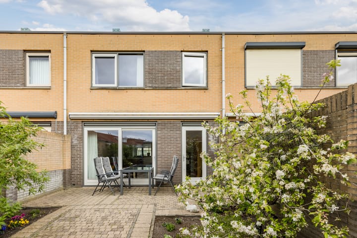 Foto 39 van Salomonszegel 13