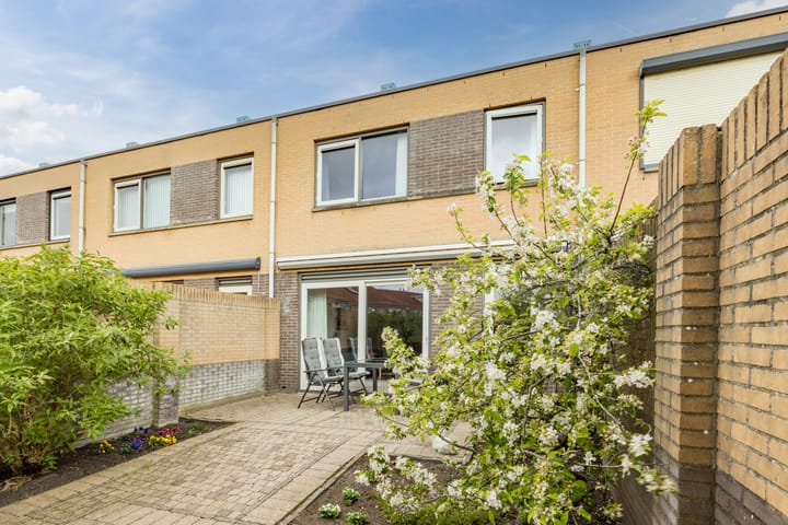 Foto 40 van Salomonszegel 13