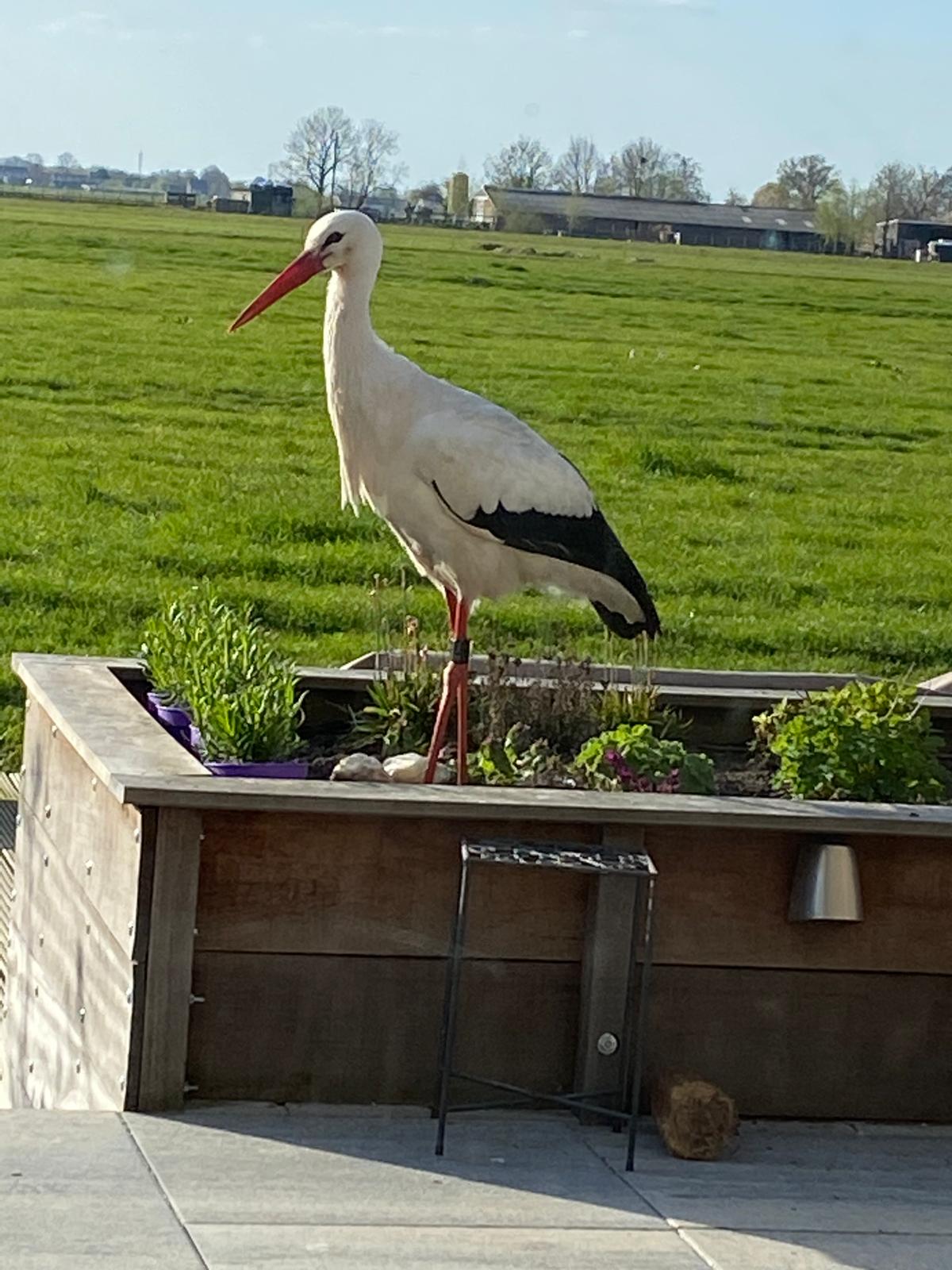 Foto 48 van Willem-Alexanderstraat 28