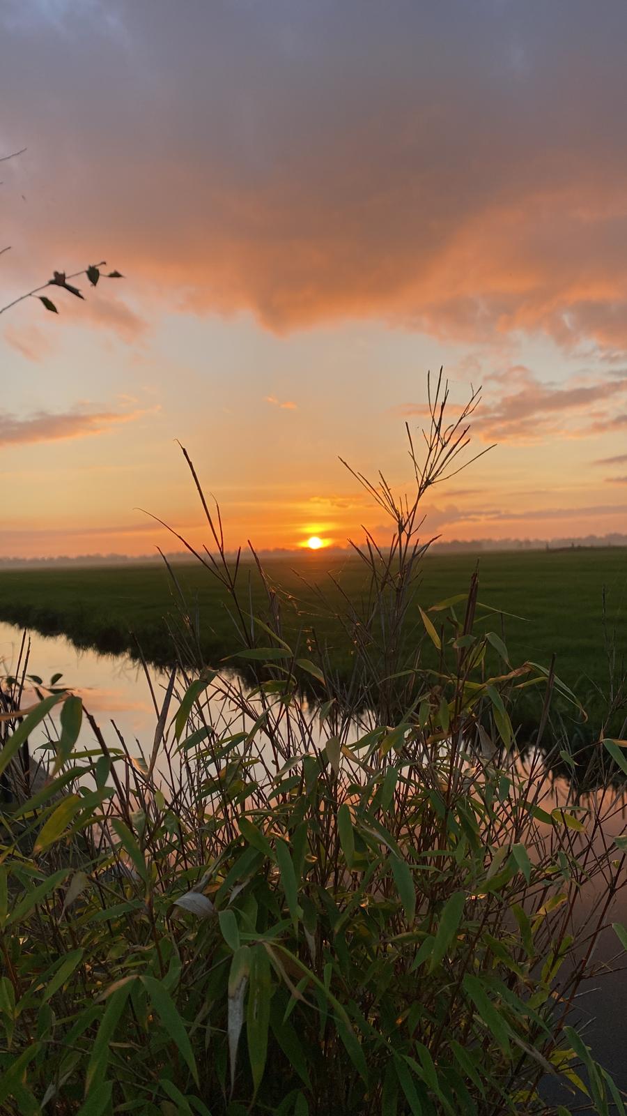 Foto 50 van Willem-Alexanderstraat 28