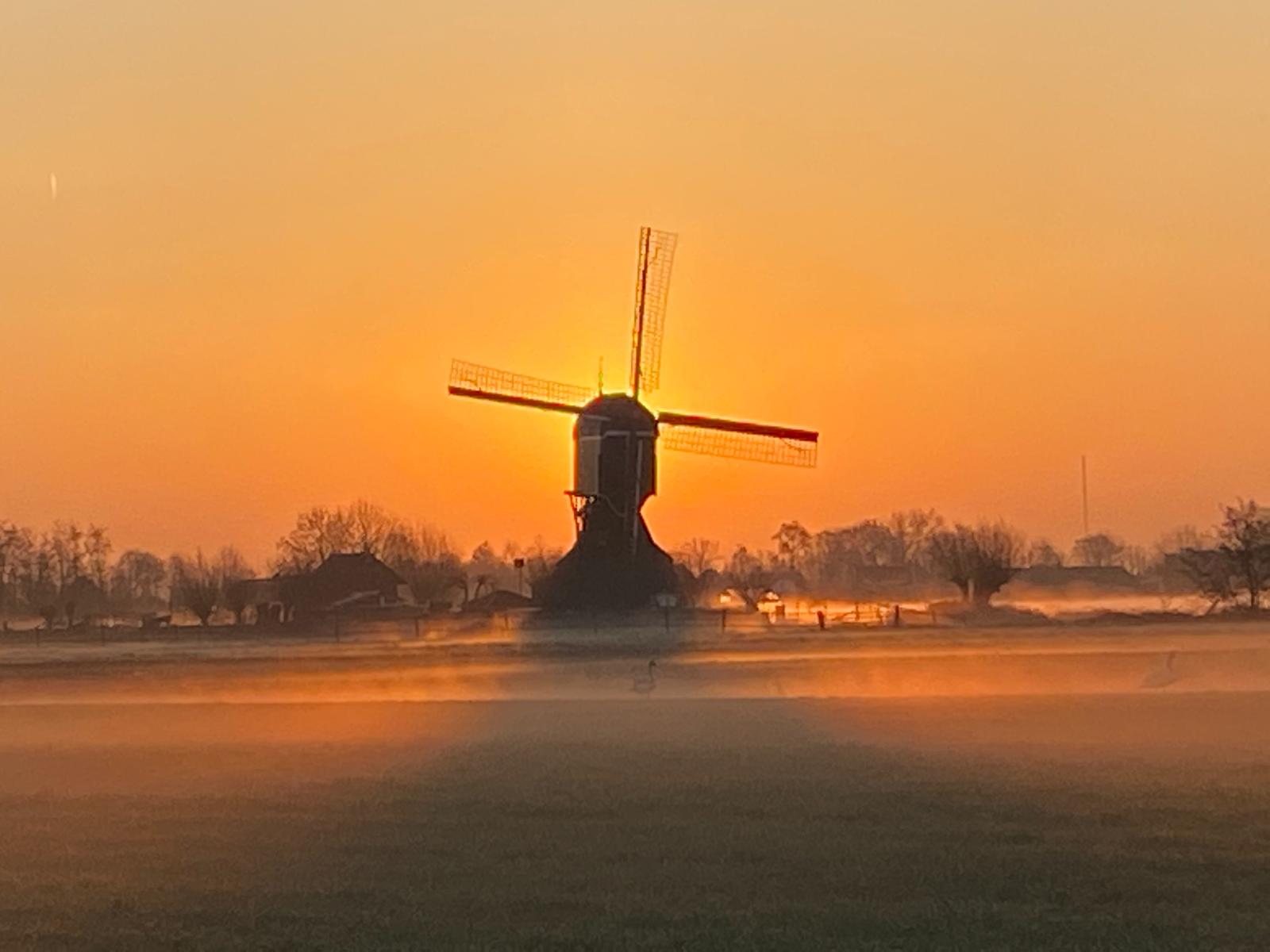 Foto 51 van Willem-Alexanderstraat 28