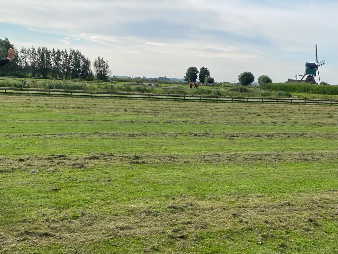 Foto 53 van Willem-Alexanderstraat 28