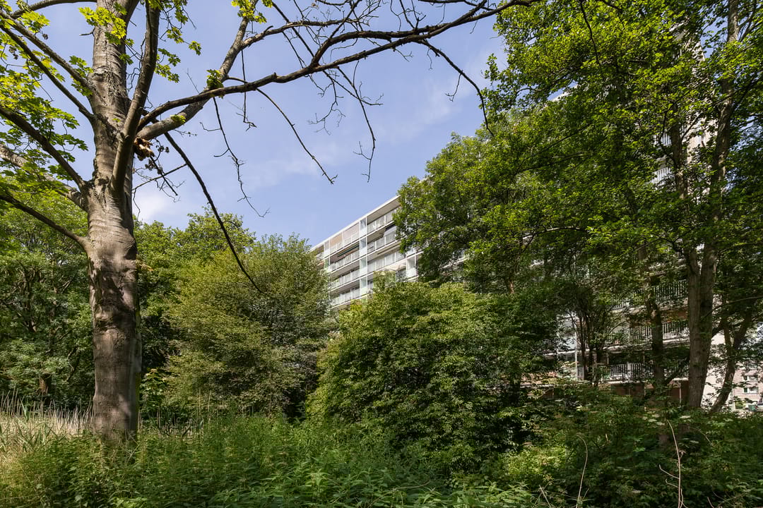 Photo 28 of Engelandlaan 430