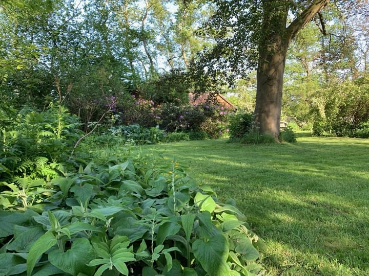 Foto 45 van 's-Heer Hendrikskinderendijk 120