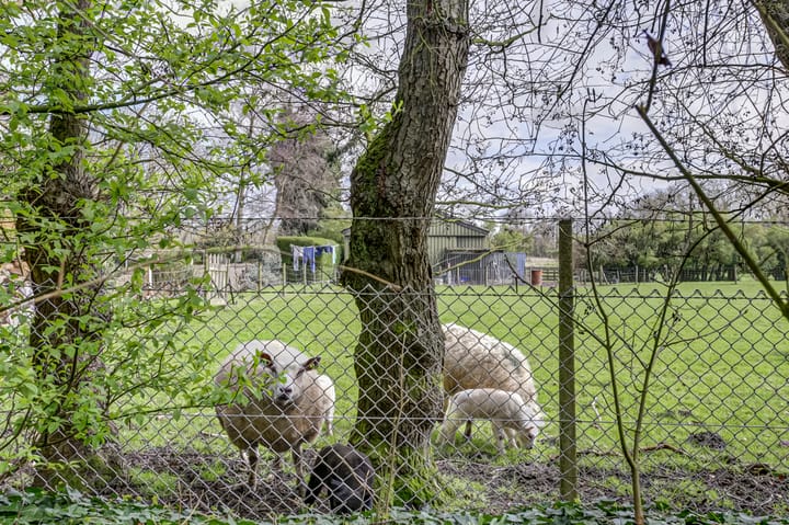 Foto 47 van 's-Heer Hendrikskinderendijk 120