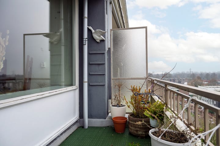 Foto 15 van Zwedenburg 80