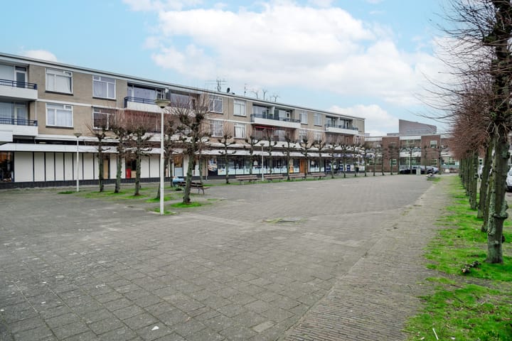 Foto 20 van Zwedenburg 80