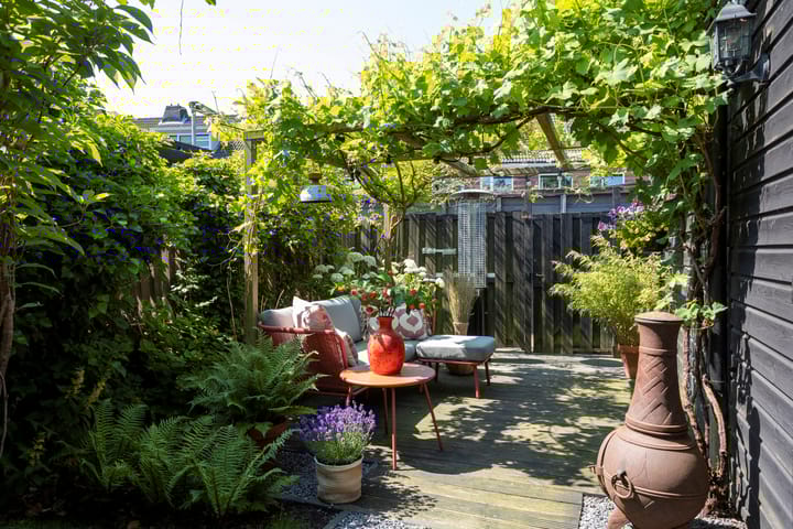 Foto 50 van Narcisplantsoen 11