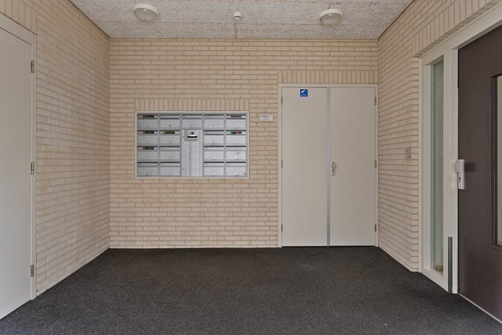 Foto 6 van De Misse 24