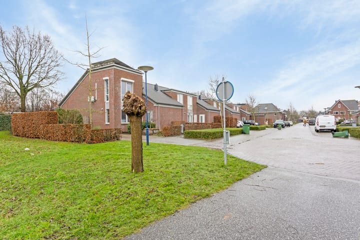 Foto 3 van Veenmos 60