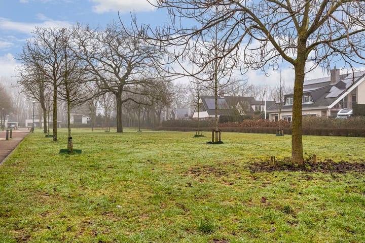 Foto 44 van Varenmos 35