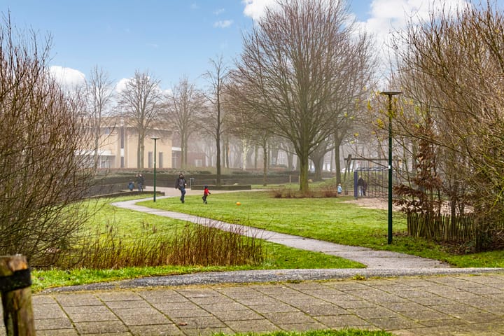 Foto 45 van Varenmos 35