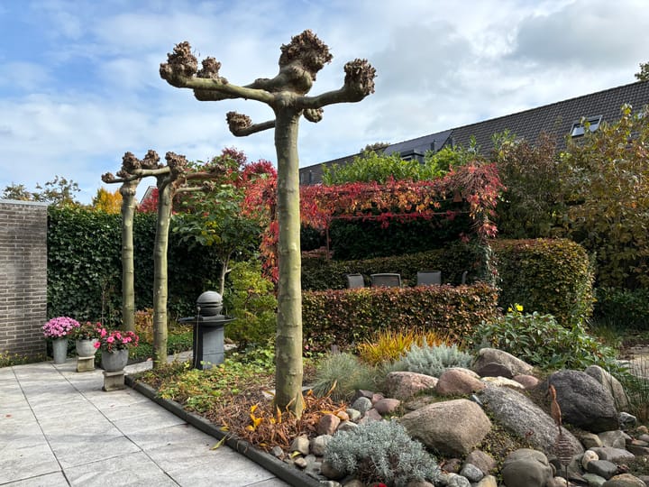 Foto 49 van Varenmos 35