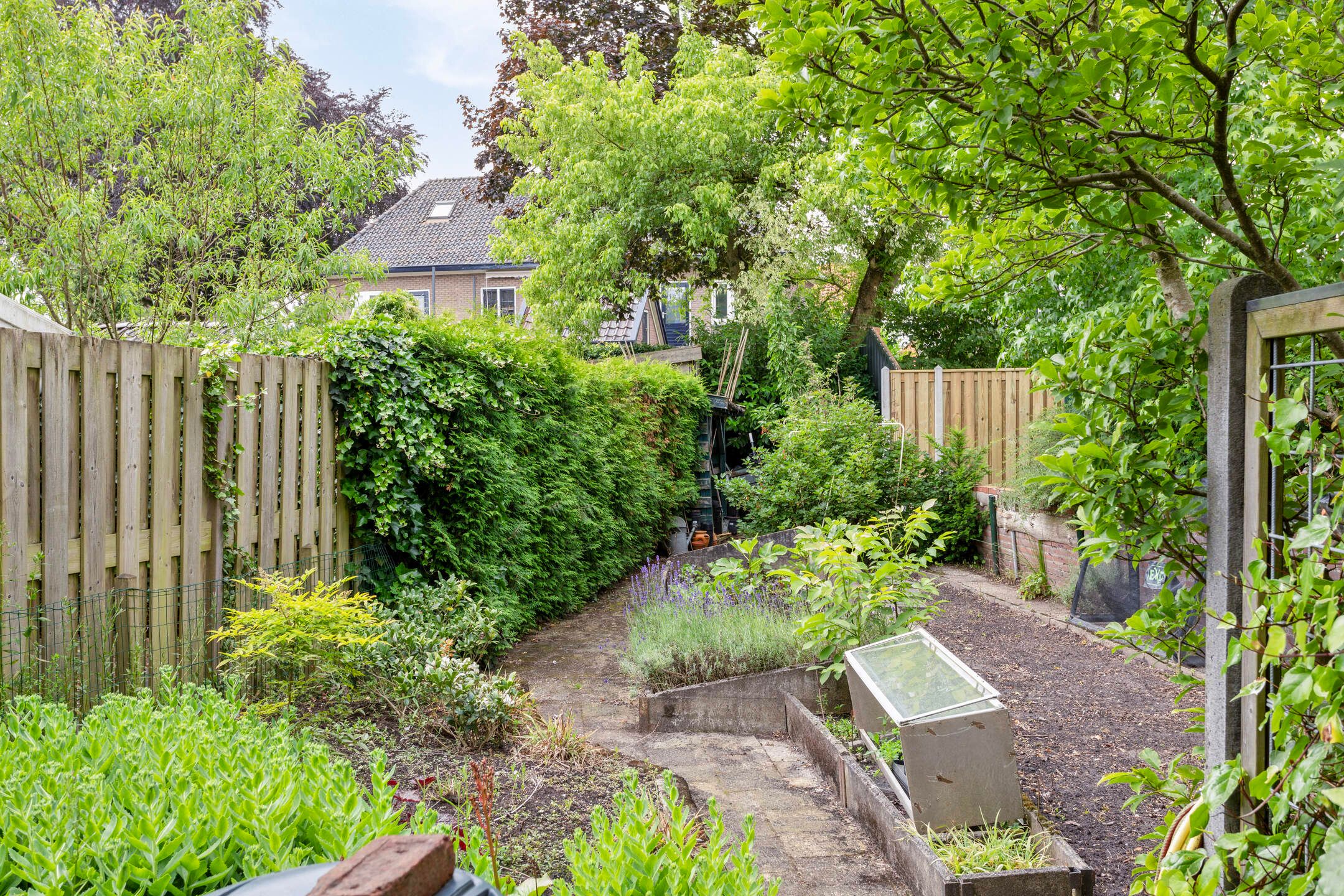 Foto 24 van Haitsma Mulierweg 29