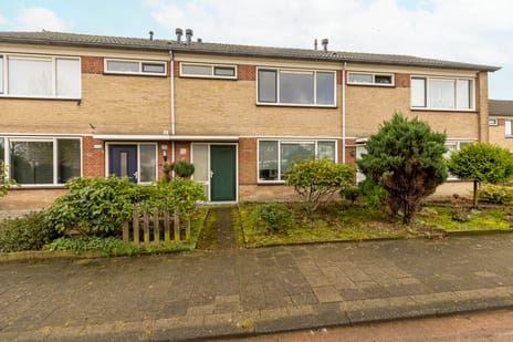 undefined main image