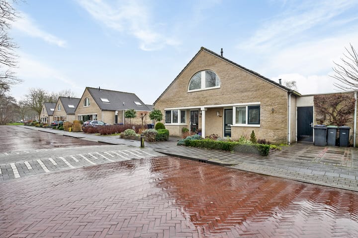 Foto 2 van Schout 10