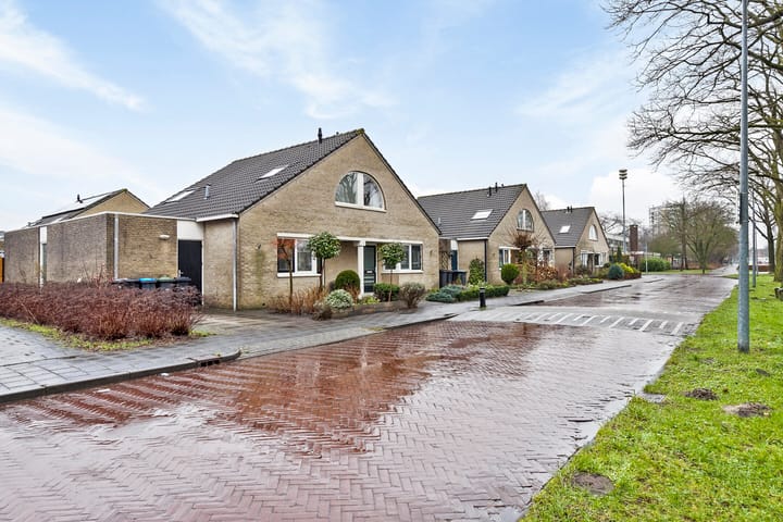 Foto 3 van Schout 10