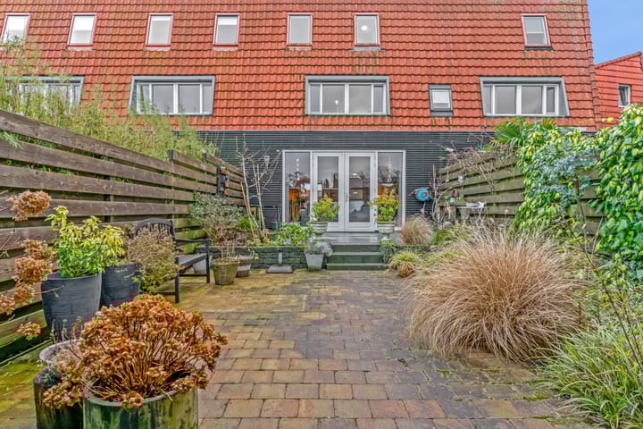 Foto 2 van Rugstreeppad 33