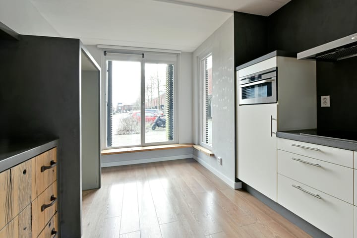 Foto 4 van Rugstreeppad 33