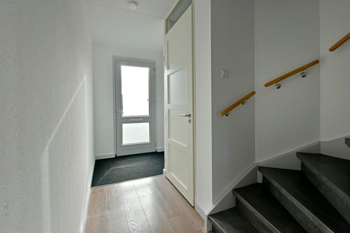 Foto 11 van Rugstreeppad 33