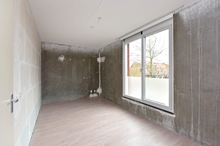 Foto 17 van Rugstreeppad 33