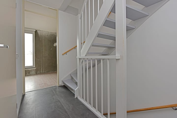 Foto 20 van Rugstreeppad 33