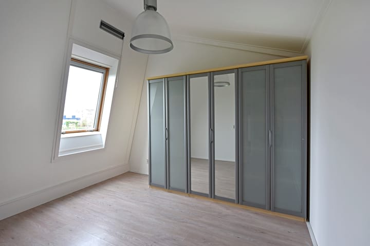 Foto 21 van Rugstreeppad 33