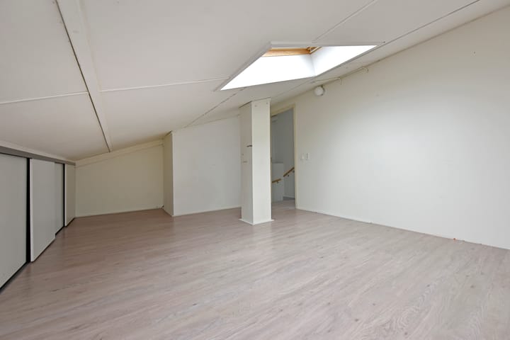 Foto 24 van Rugstreeppad 33