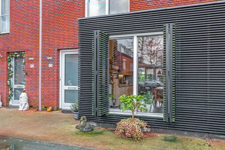 Foto 26 van Rugstreeppad 33