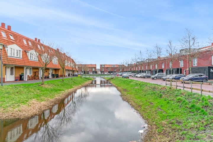 Foto 27 van Rugstreeppad 33