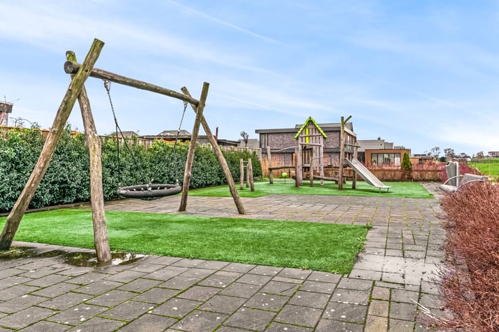 Foto 29 van Rugstreeppad 33