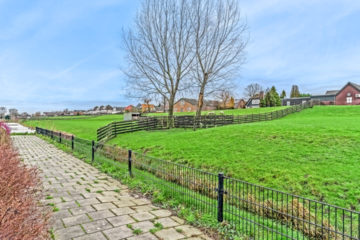 Foto 30 van Rugstreeppad 33